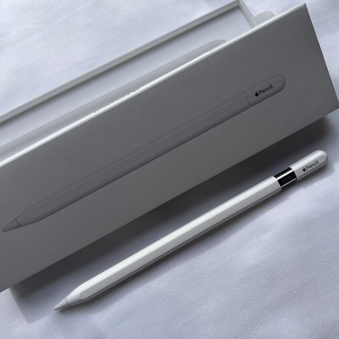 ロシナンテ Apple Pencil USB-Cタイプ アップルペンシル