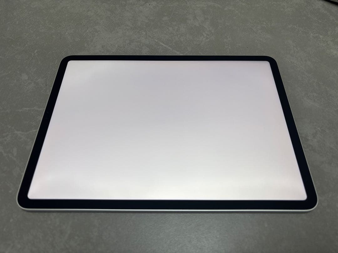 Apple iPad Pro 11 第2世代　256GB Wi-Fi