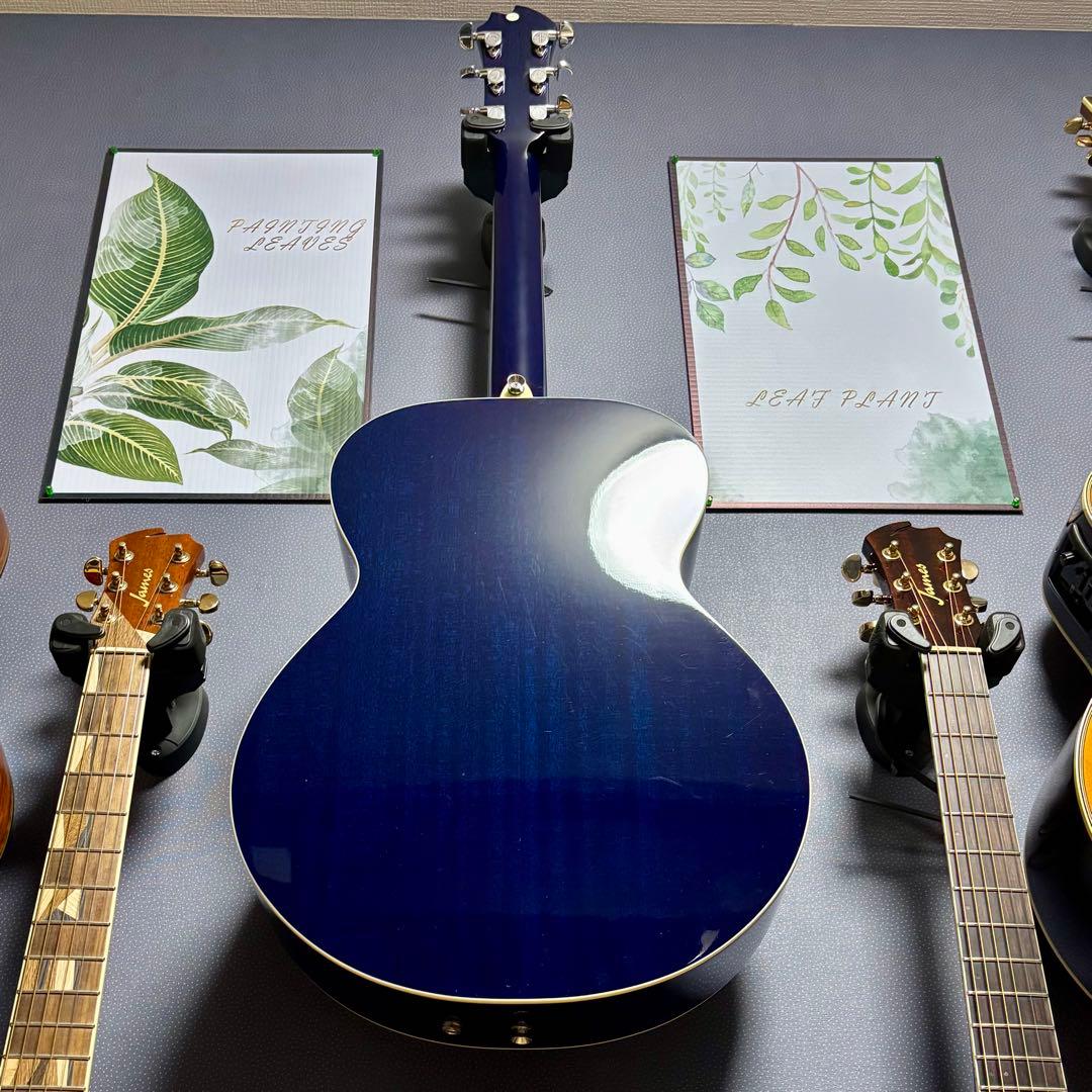 【美品エレアコ】James JF400-SBB fishmanプリアンプ装着