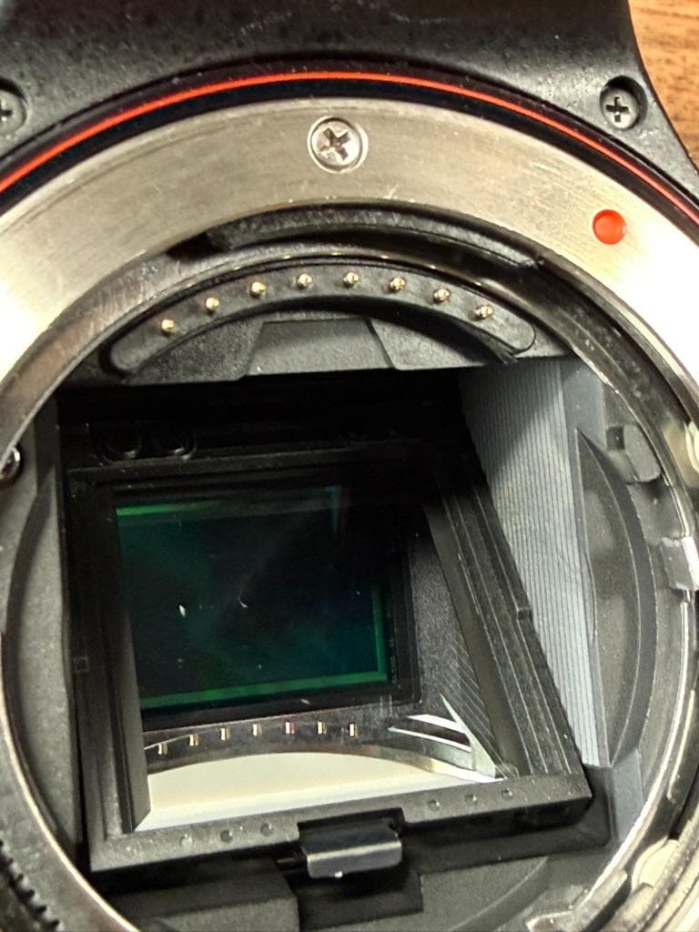 【シャッター数12,988回】SONY α55 ＋ズーム・単焦点レンズ2本セット