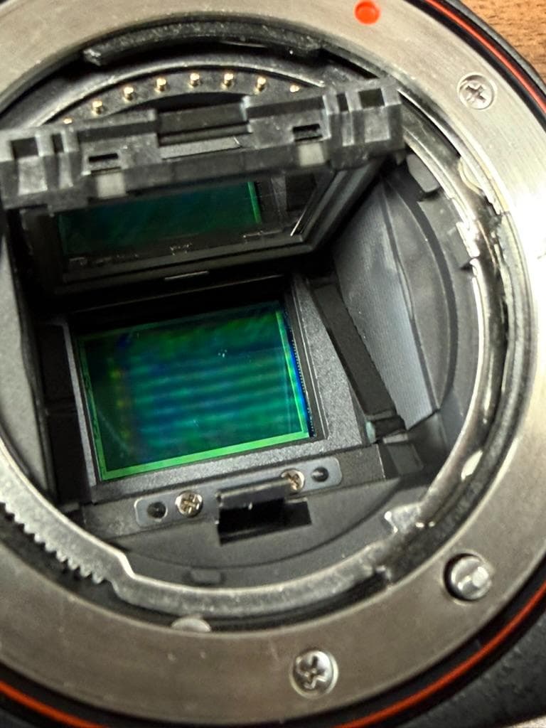 【シャッター数12,988回】SONY α55 ＋ズーム・単焦点レンズ2本セット