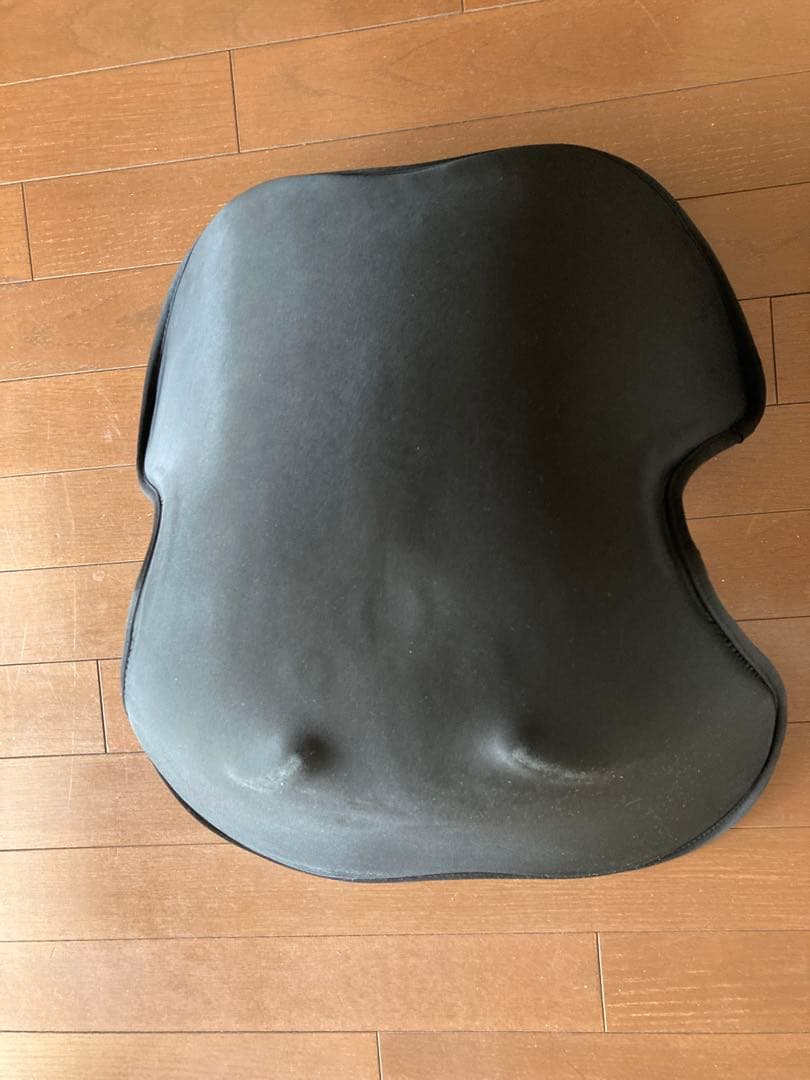 Style SMART MTG 姿勢矯正 骨盤サポートチェア 座椅子