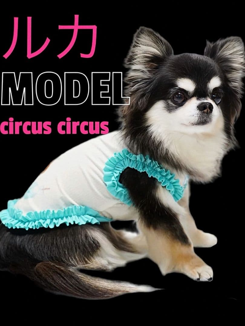 F Laundry BearフリルタンクSS＆マット セットcircusサーカス