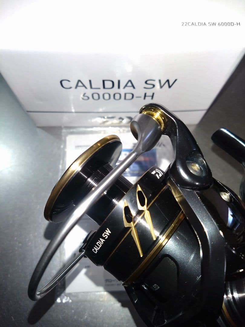 ダイワ　カルディアSW 6000D-H