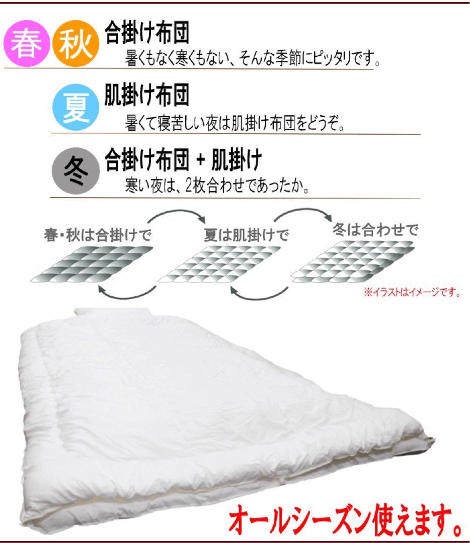 掛け布団 クイーン 2枚合わせ テイジン フィルケア 抗菌 防臭 日本製