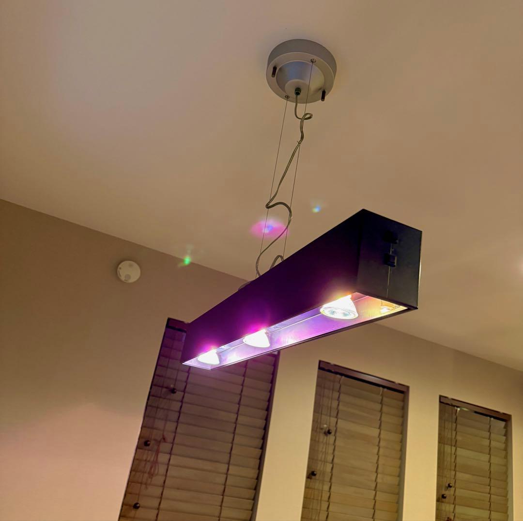 ODELIC ダイニングライト ハロゲン3灯+白熱2灯