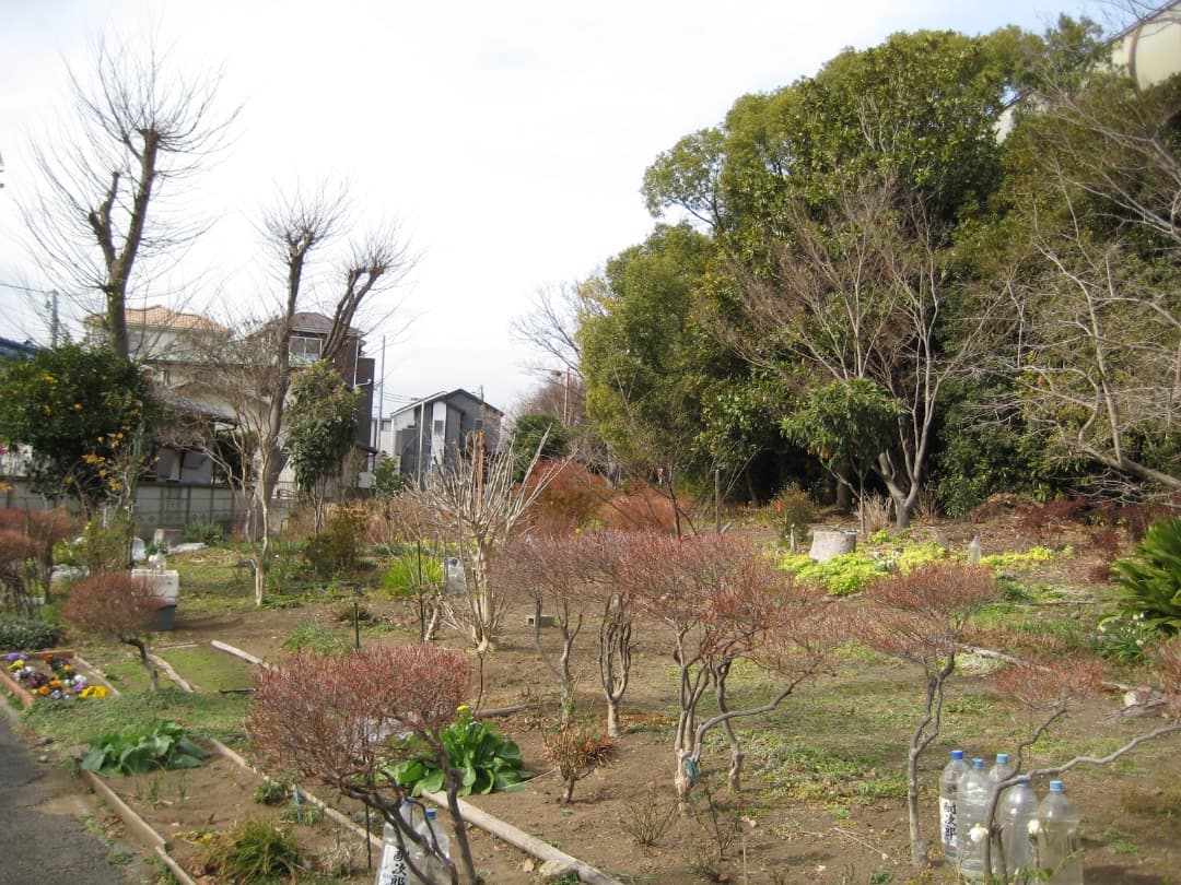 実写美⭕️訳あり【動作確認済み】Canon IXY DIGITAL 10 デジカメ