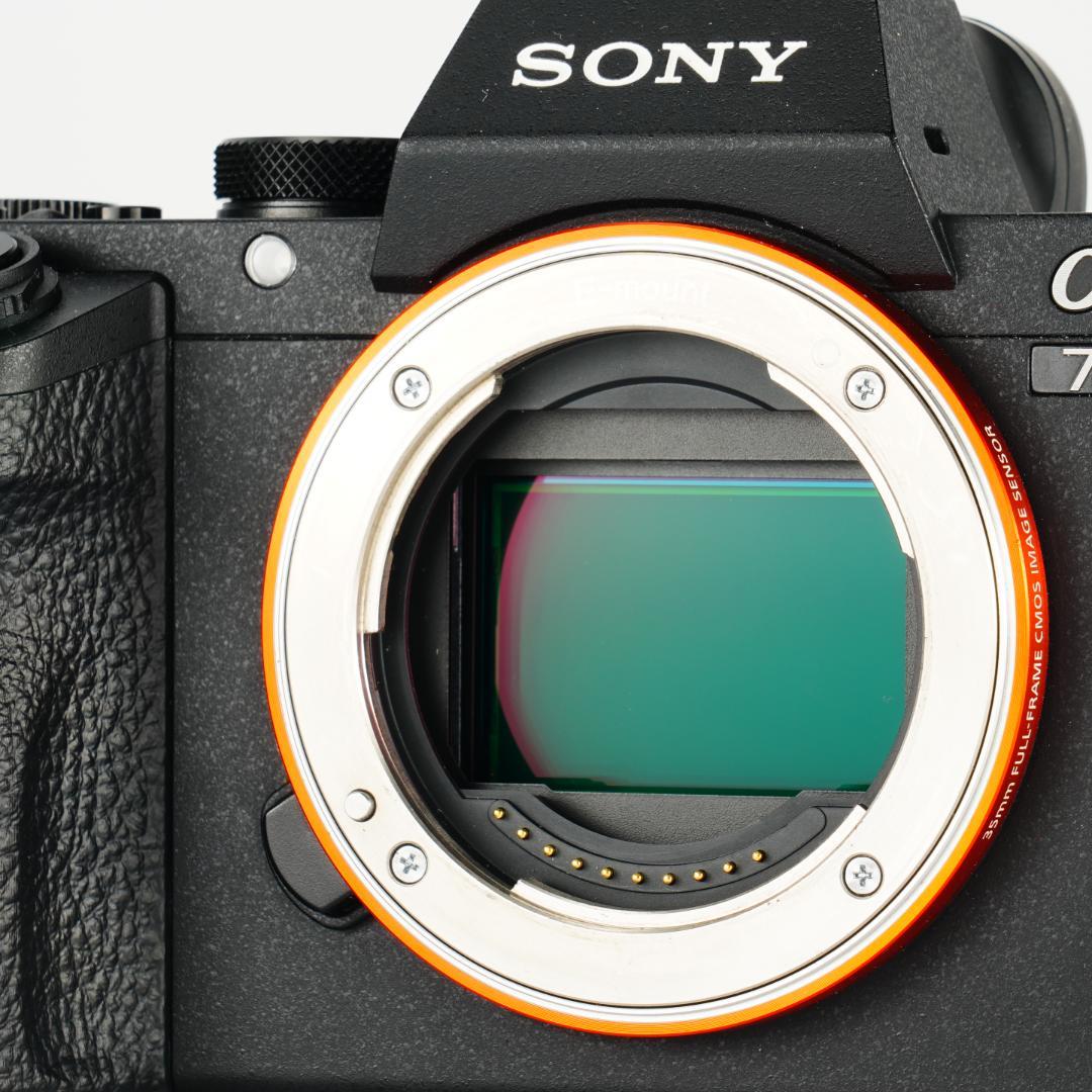 美品！SONY α7II完全セット 8798回 フルサイズデビューに最適