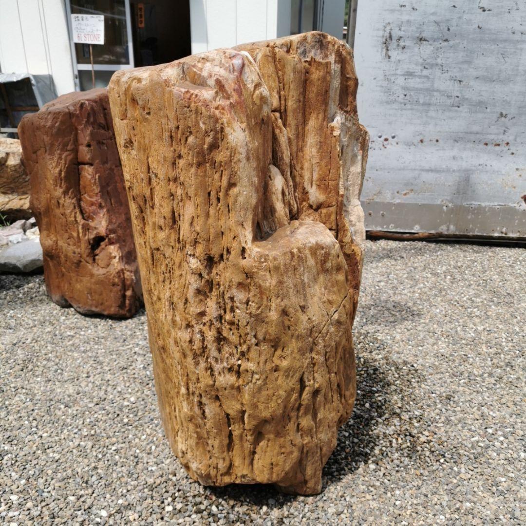 インドネシア産　珪化木　297キロ　木化石　庭石　石　鑑賞石　置物　オブジェ