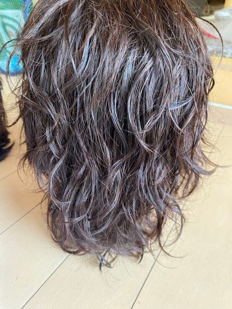 美容師免許国家試験セット