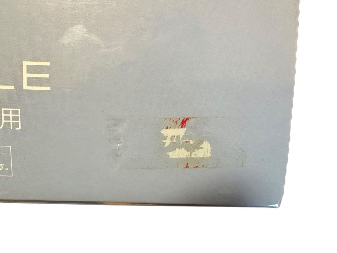 Panasonic NI-MS100 モバイルスチーマー