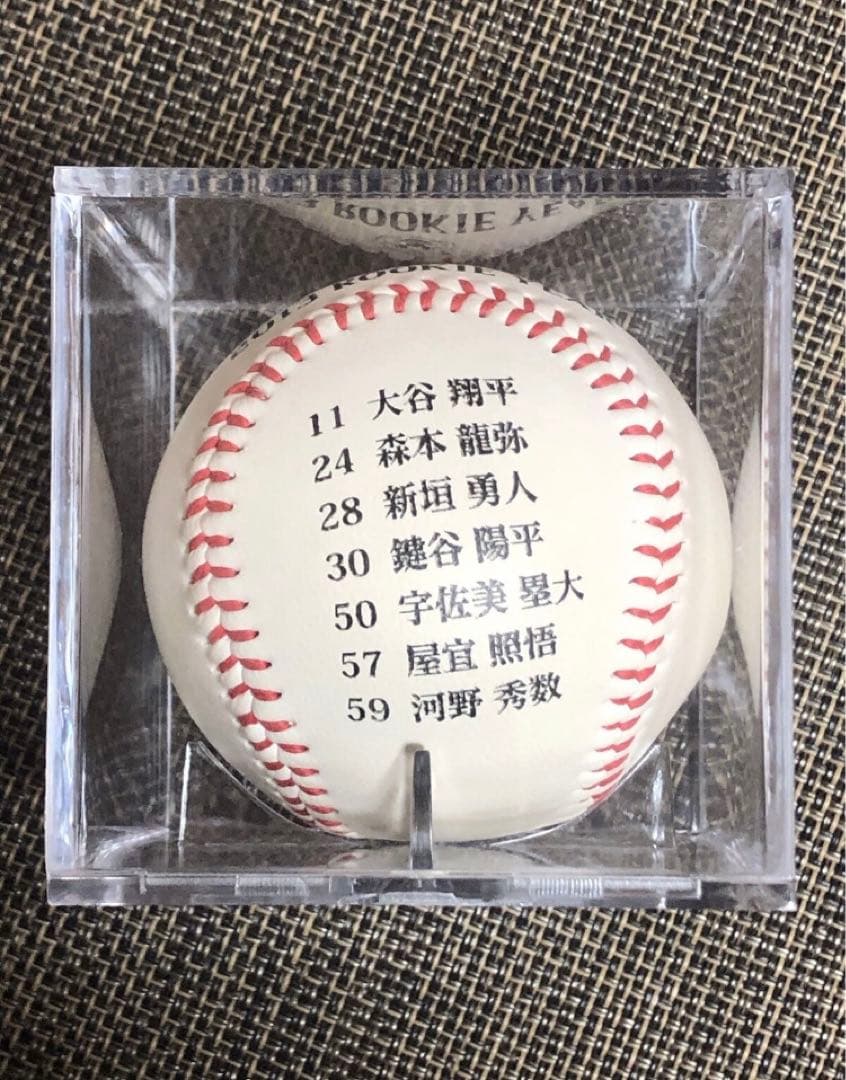 2013年でしか使用してないサイン型　激レア 直筆ドラフトサインボール
