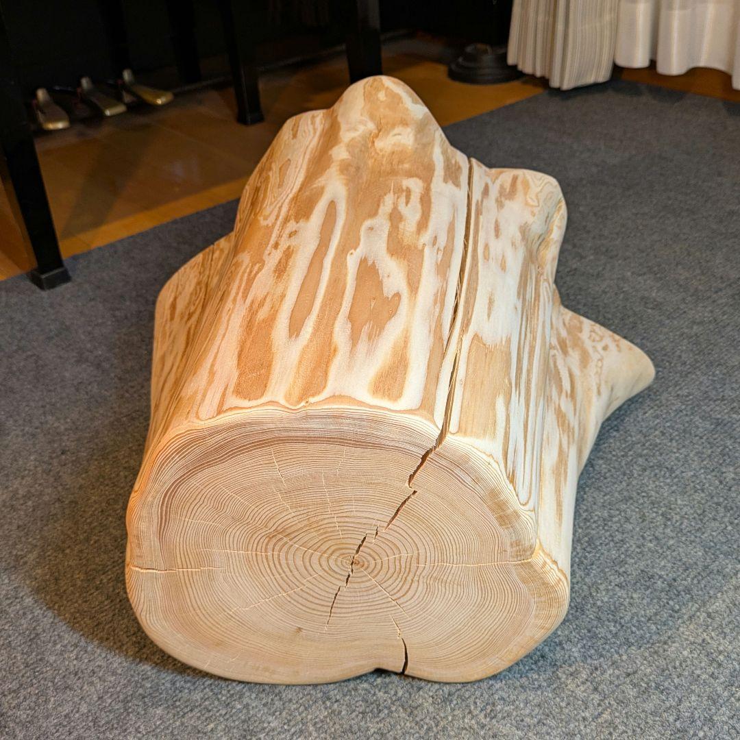 天然椹　サワラ　切り株　高さ約29.5㎝