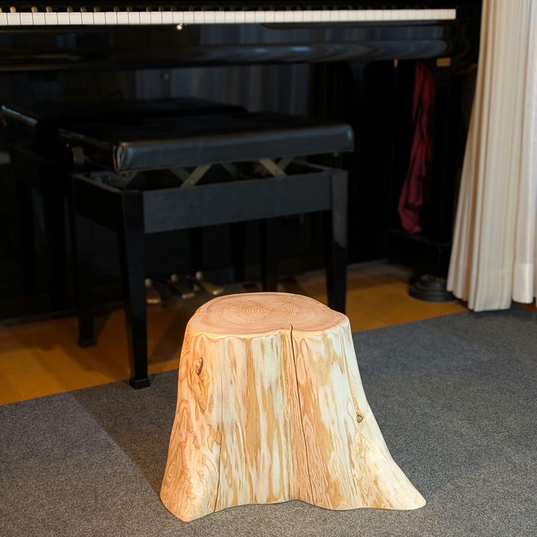 天然椹　サワラ　切り株　高さ約29.5㎝