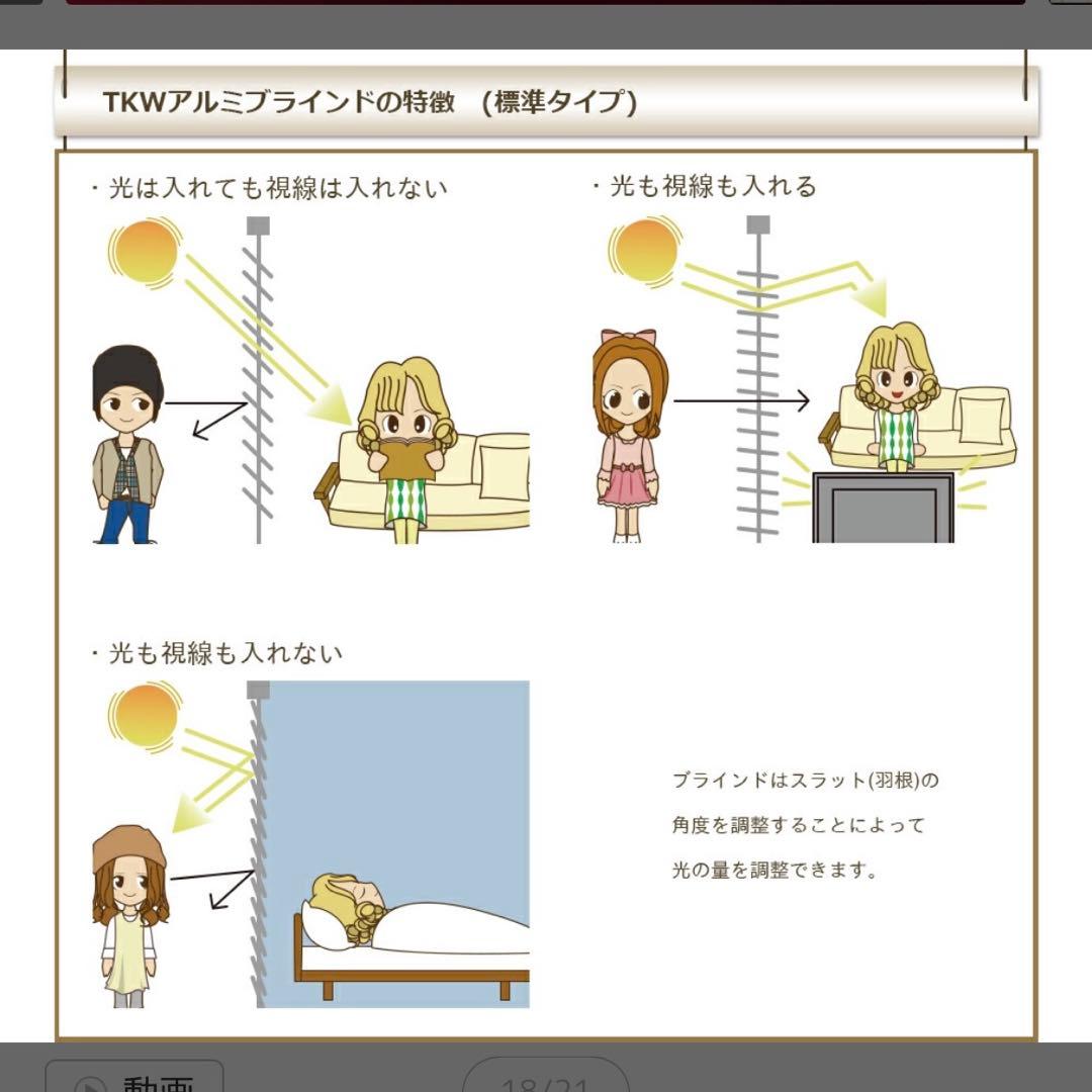 新品未使用 オーダーアルミブラインド 【55cm×180cm】