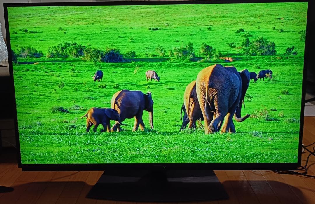 美品 21年製 50V型SHARP AQUOS 4T-C50DN2 4Kテレビ