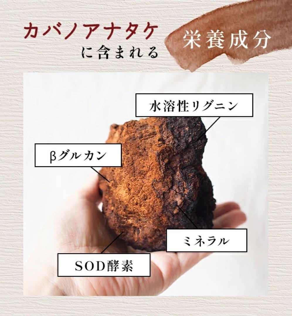 カバノアナタケ　チャーガ茶　【八幡平市産】640g