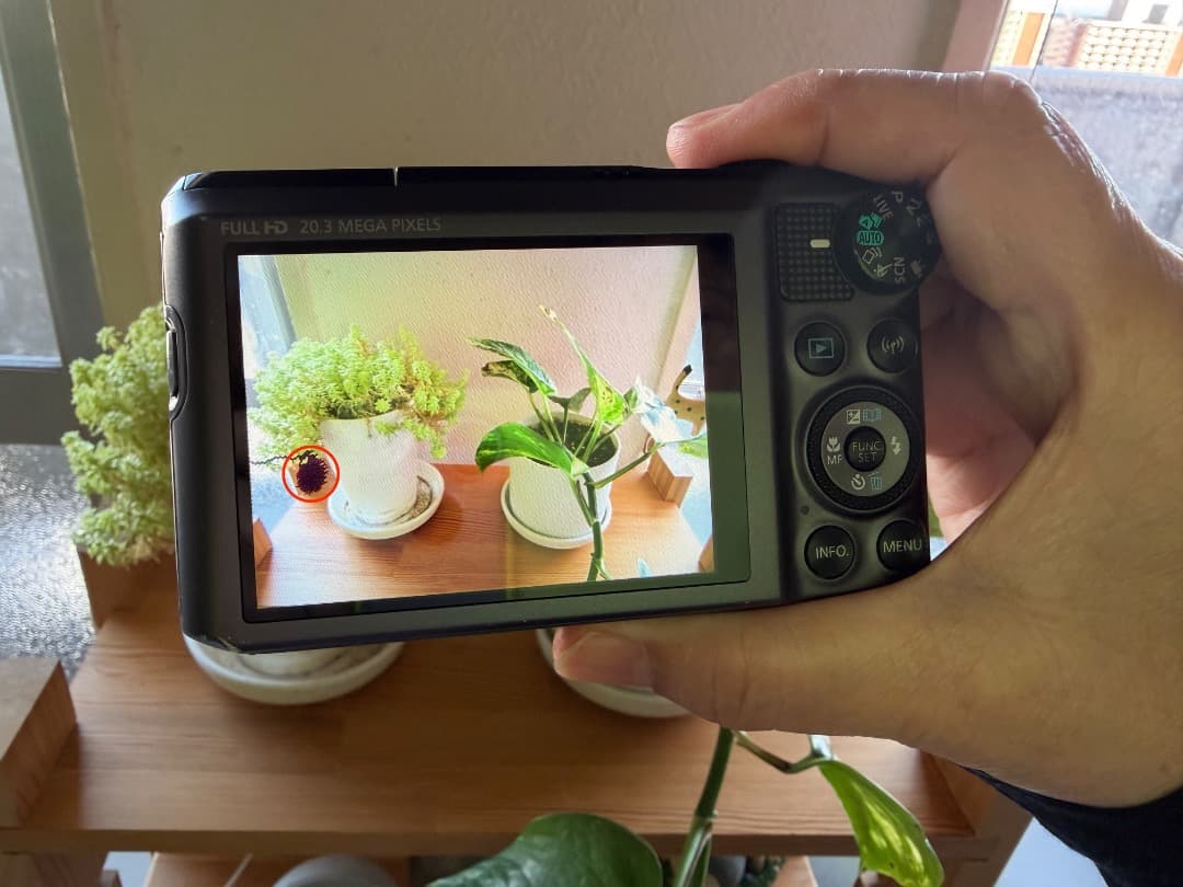 キャノン Canon PowerShot SX720 HS ブラック 稼働品