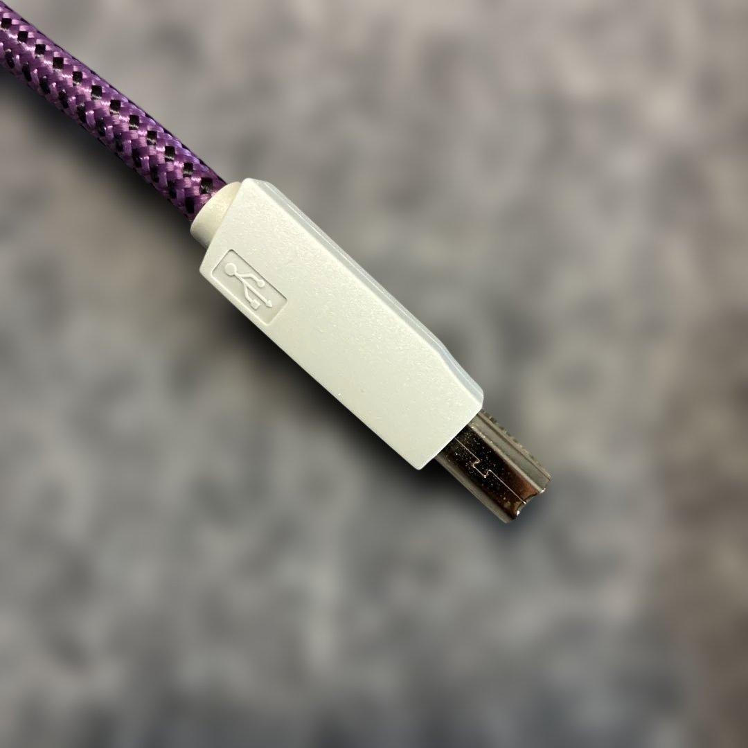 FURUTECH GT2 NCF USBケーブル 0.6m