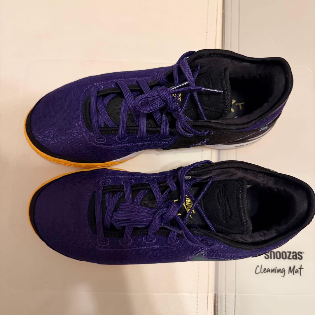 NIKE ズームレブロンネクストGEN DR8788-500 29cm