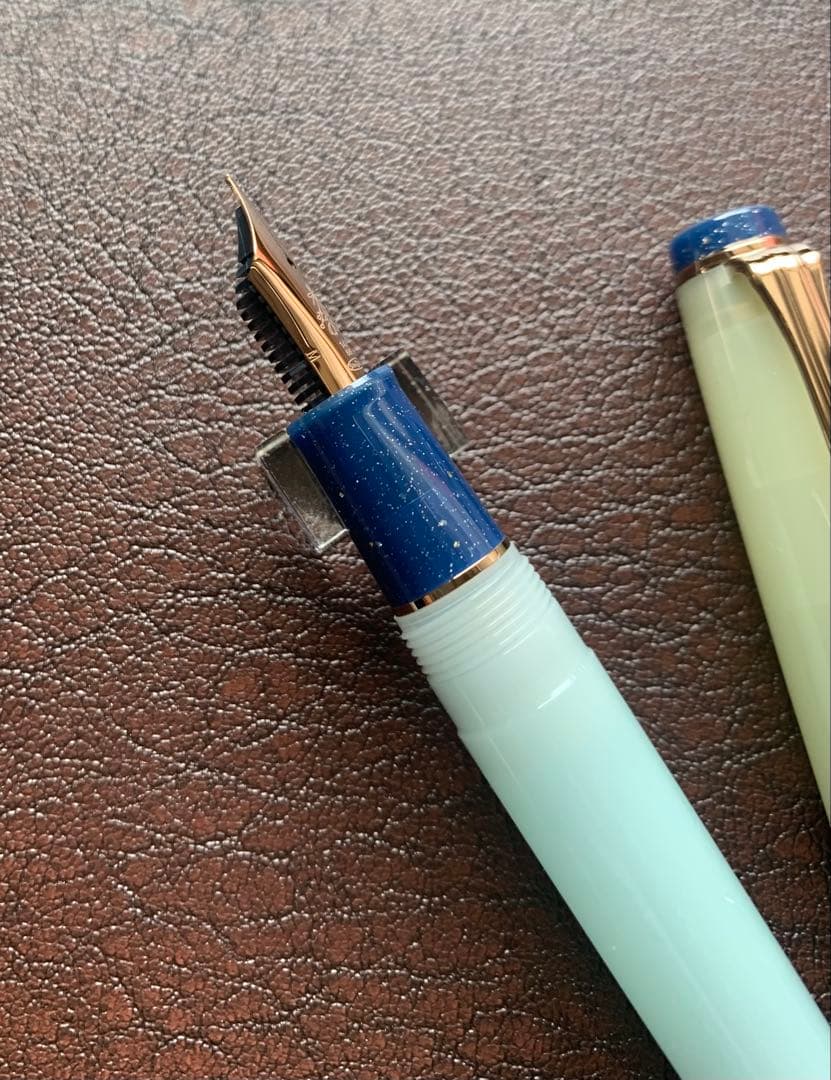 海外限定セーラー万年筆 プロギアスリム ドライフラワーシリーズ アジサイM