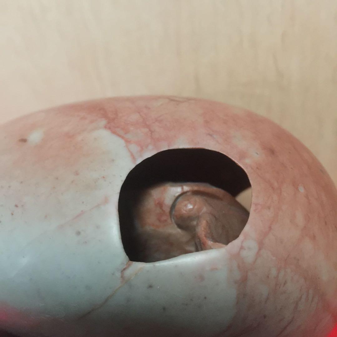 中国寿山石 細工 亀