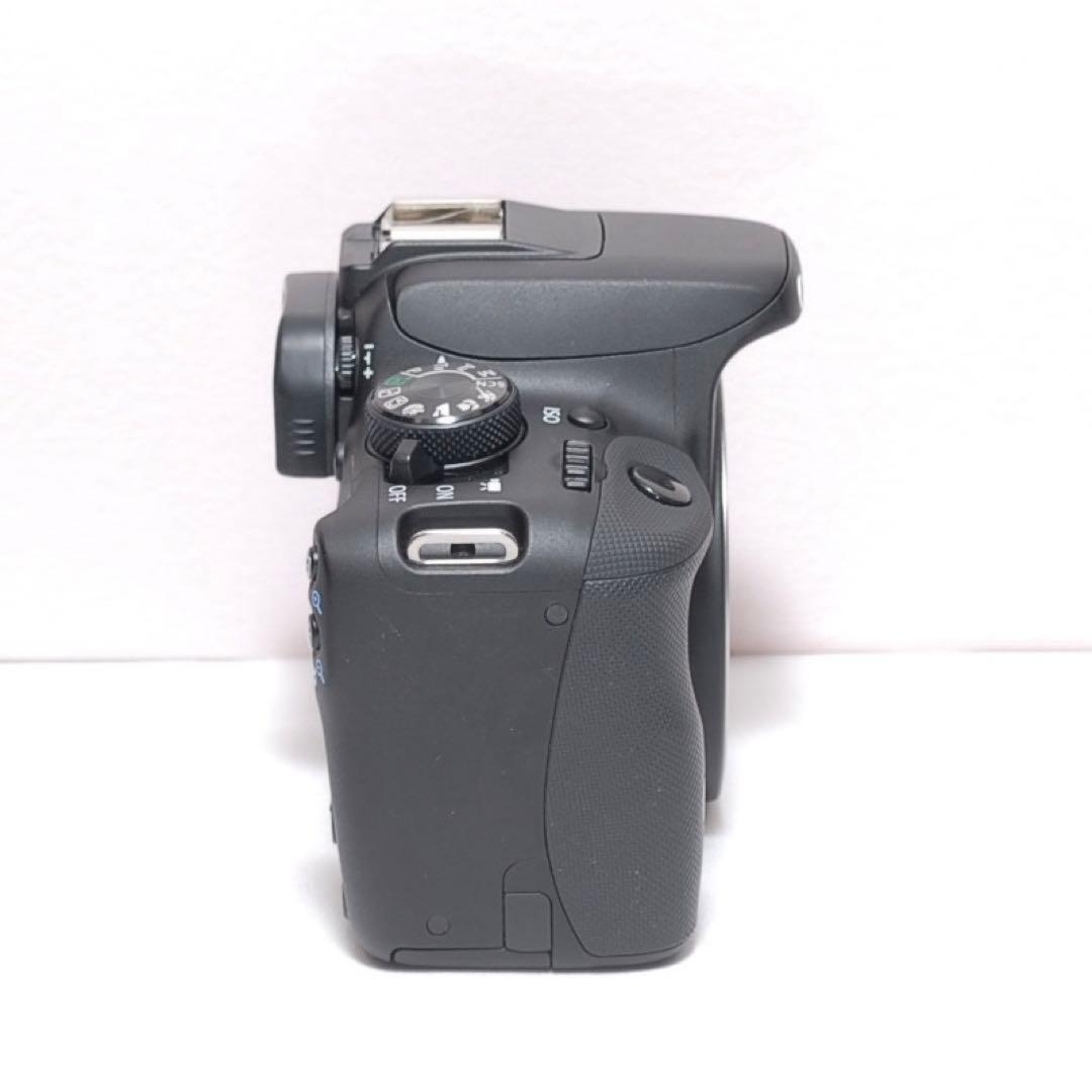 超望遠レンズデビューに✨CANON KISS X7✨シングルレンズ✨動画撮影も✨