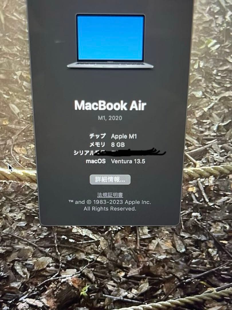 MacBook本体 Apple MacBook Air2020