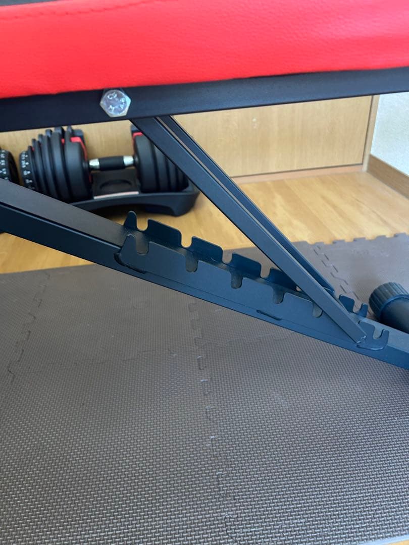 Cutee Fox トレーニングベンチ ブラック/レッド　ダンベルセット