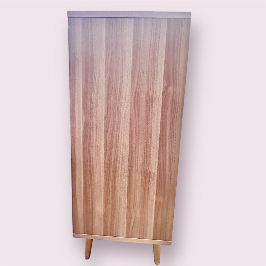 ノーチェ シンプルなデザインの扉付き キャビネット 本棚 4つの収納スペース付き