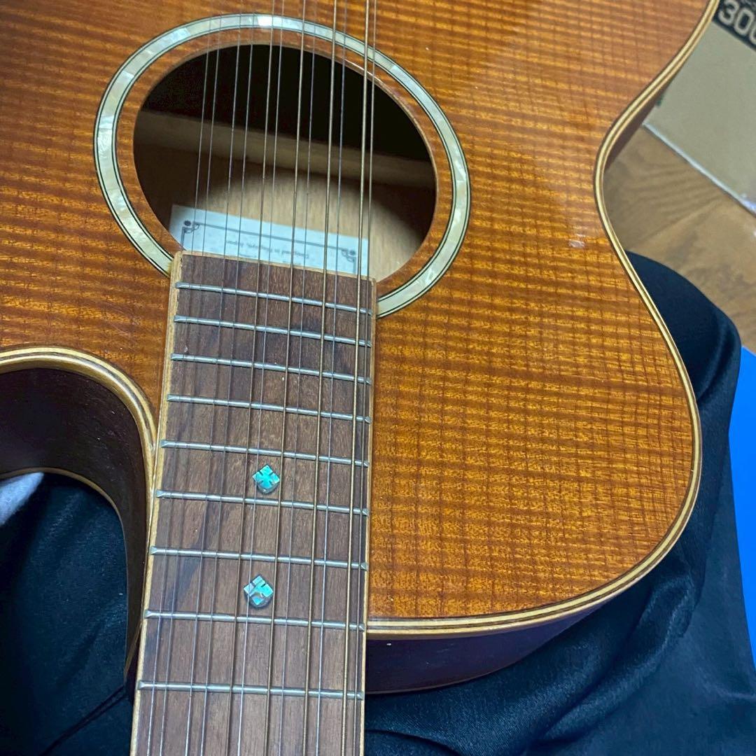 アリア12弦 FET-12/SPL　アコースティックギター