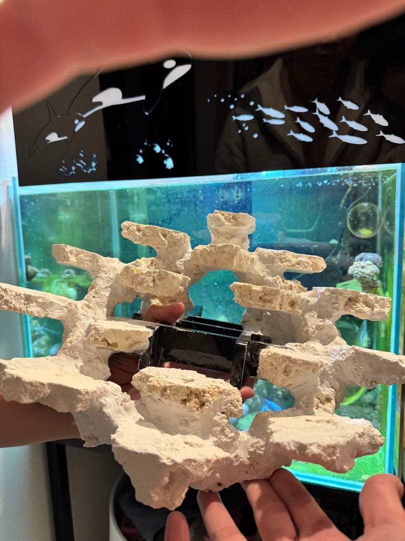 人工ライブロック白色 約5kg 吊り下げ風レイアウト