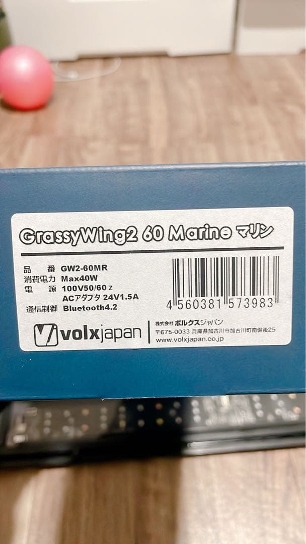 グラッシーウイング２　マリン60センチ