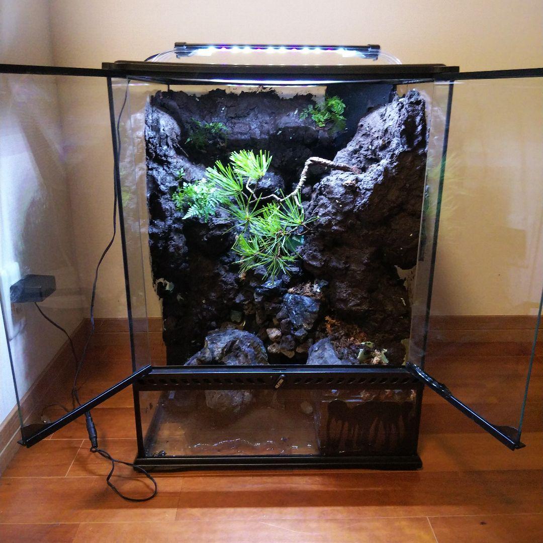 滝のあるアクアテラリウム完成品