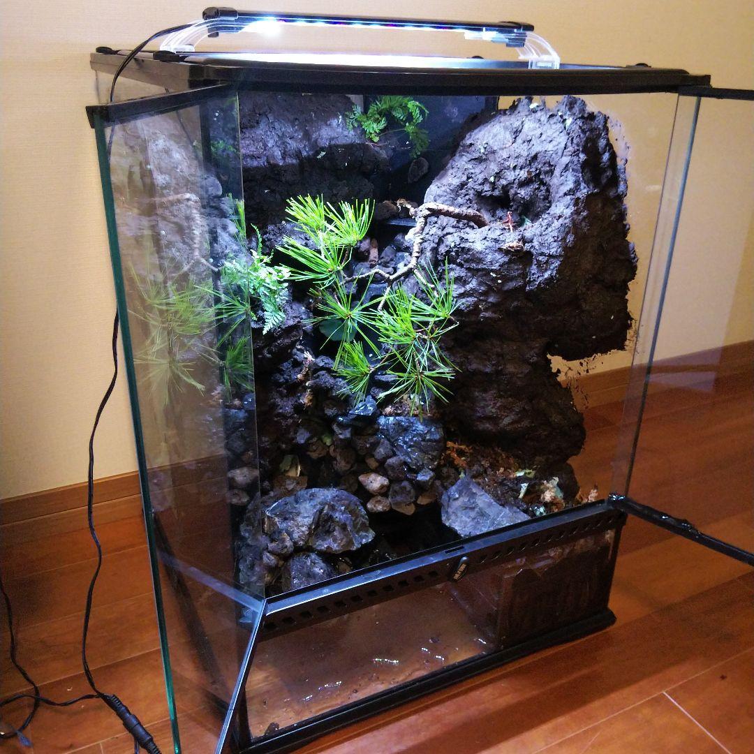 滝のあるアクアテラリウム完成品