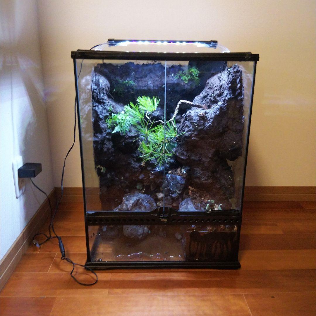 滝のあるアクアテラリウム完成品