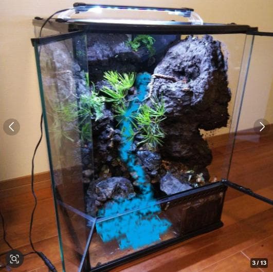 滝のあるアクアテラリウム完成品