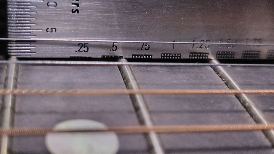 ギター LUNA GUITARS VISTA EAGLE