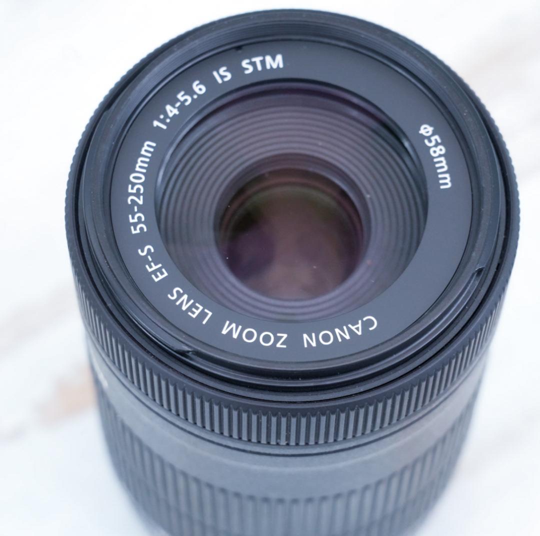 【高性能望遠レンズ】Canon EF-S 55-250mm IS STM 美品