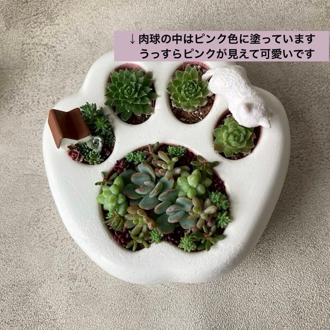 ꕥ多肉寄せ植えꕥお眠り中白猫ちゃん＆ハウスオブジェ付き