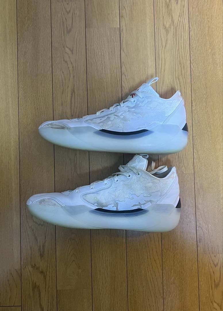 Air Jordan エアジョーダン 39 28.5cm