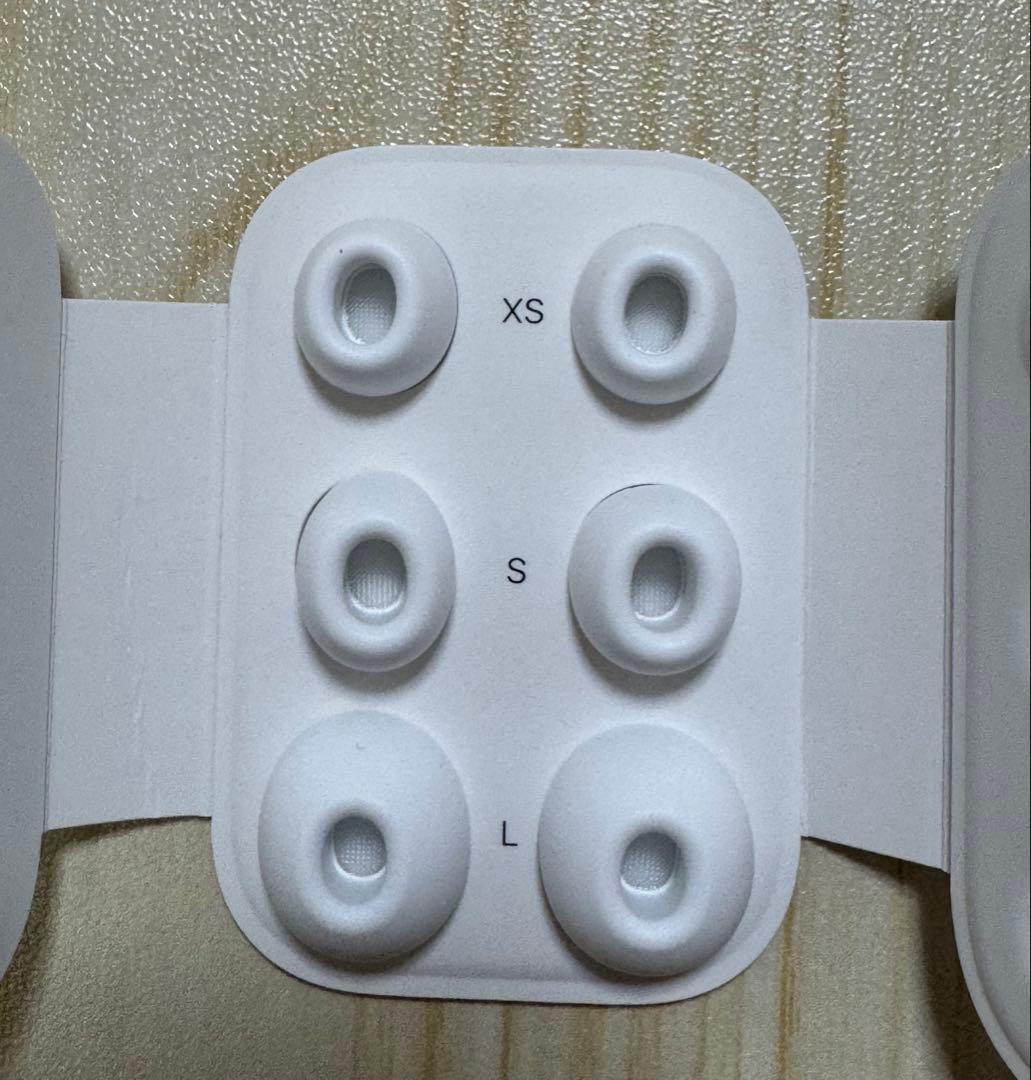 Apple AirPods Pro 2 第2世代 本体 USB-C ケース交換済