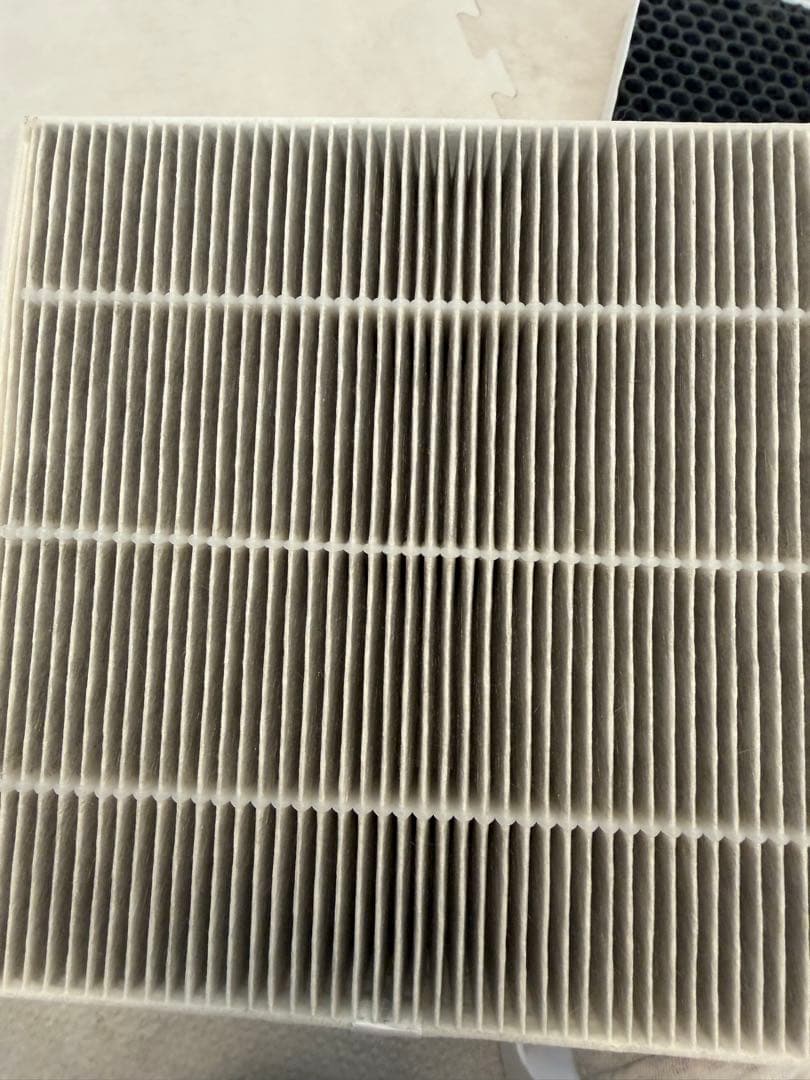 中古品‼️ Blueair Dust Magnet5210i空気清浄機