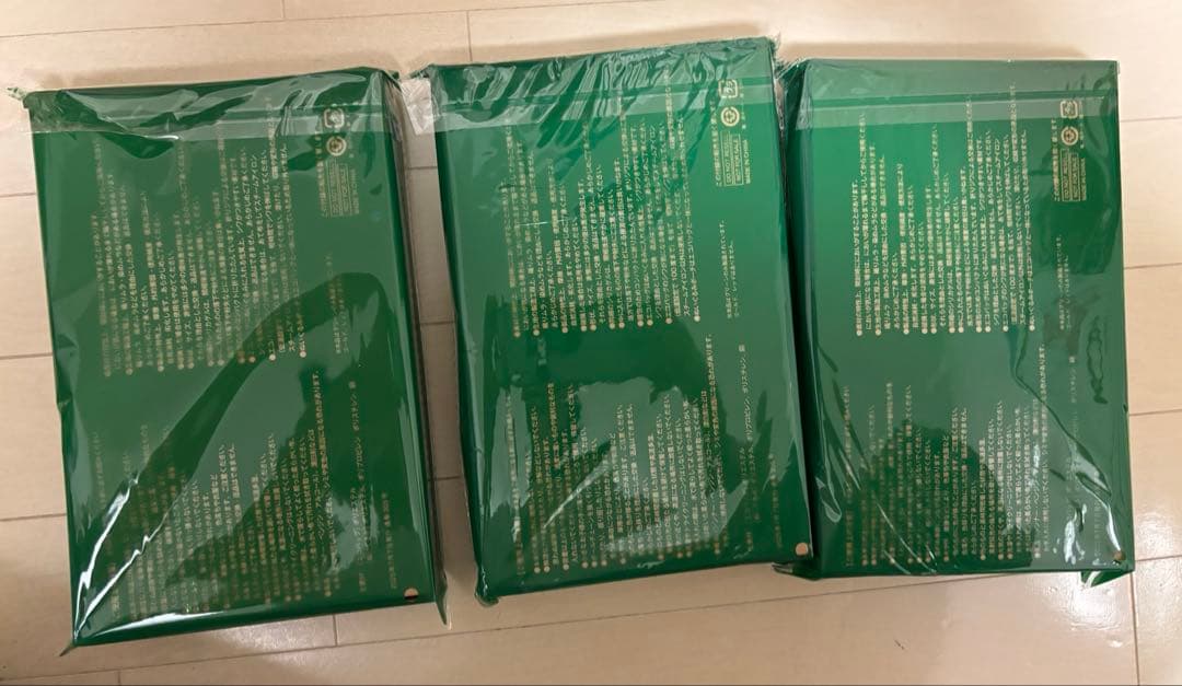 ゼスプリ キウイブラザーズ ぬいぐるみエコバック 付録のみ　InRed 7月号