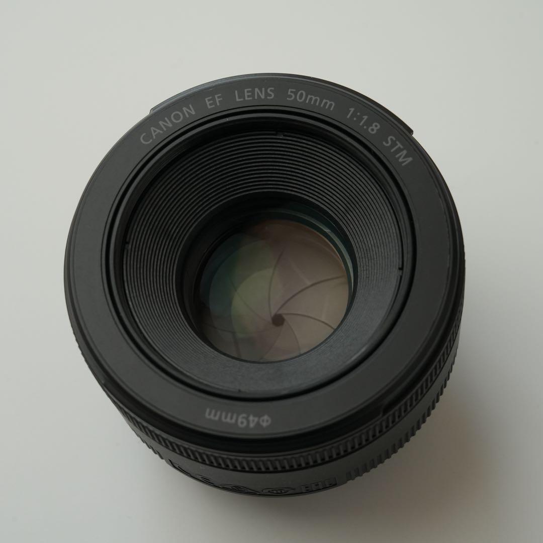 Canon EF50mm F1.8 STM 単焦点レンズ　純正フード付き