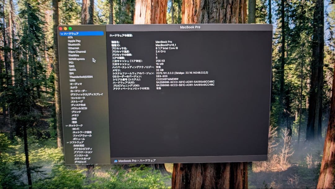 MacBook Pro 16インチ 32GB 1TB 2019 i9 シルバー