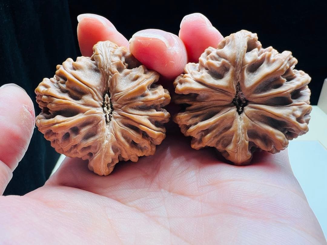 文玩堂：「2025年、市場で最も人気のある胡桃の一つ、饕餮紋獅子頭。」