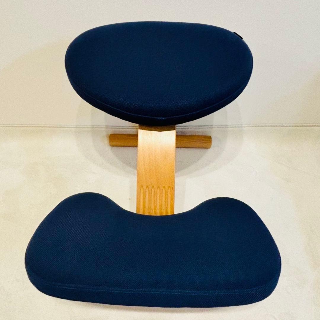 Rybo リボ社 バランスイージー バランスチェア ネイビー 姿勢改善