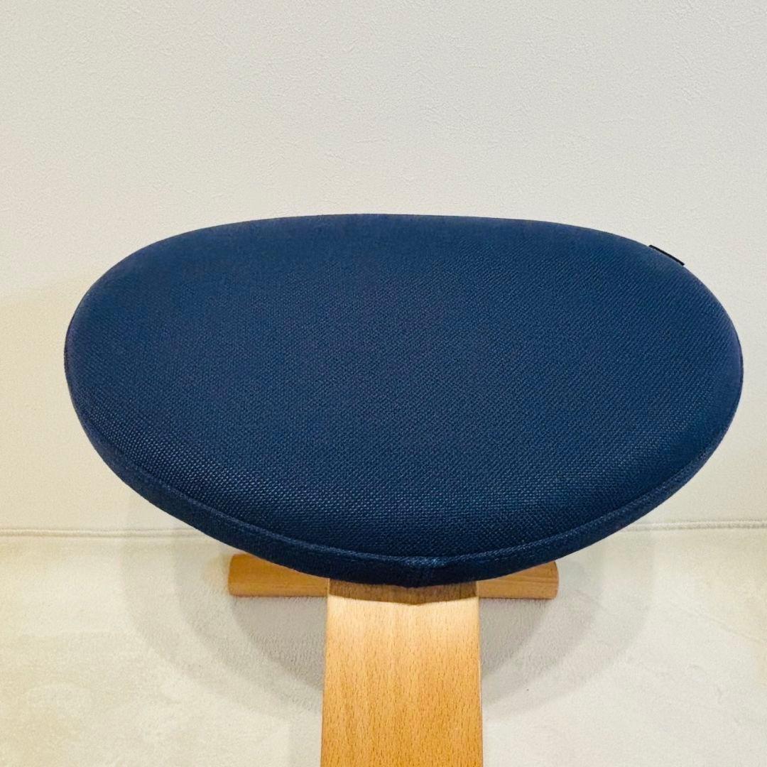 Rybo リボ社 バランスイージー バランスチェア ネイビー 姿勢改善