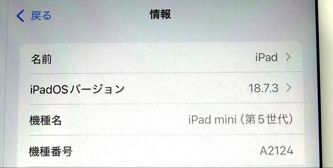 iPad mini 第5世代 Wi-Fi+Cellular 256GB シルバー